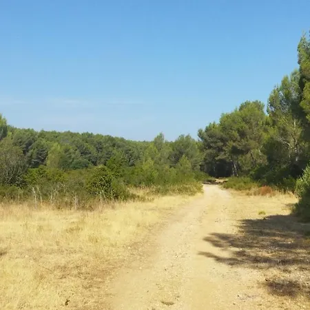 Location De 5 Personnes Proche Montpellier Et Plages Avec Climatisation Le Crès