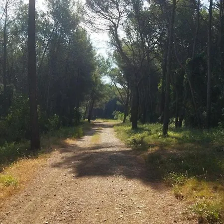 Location De 5 Personnes Proche Montpellier Et Plages Avec Climatisation Vila